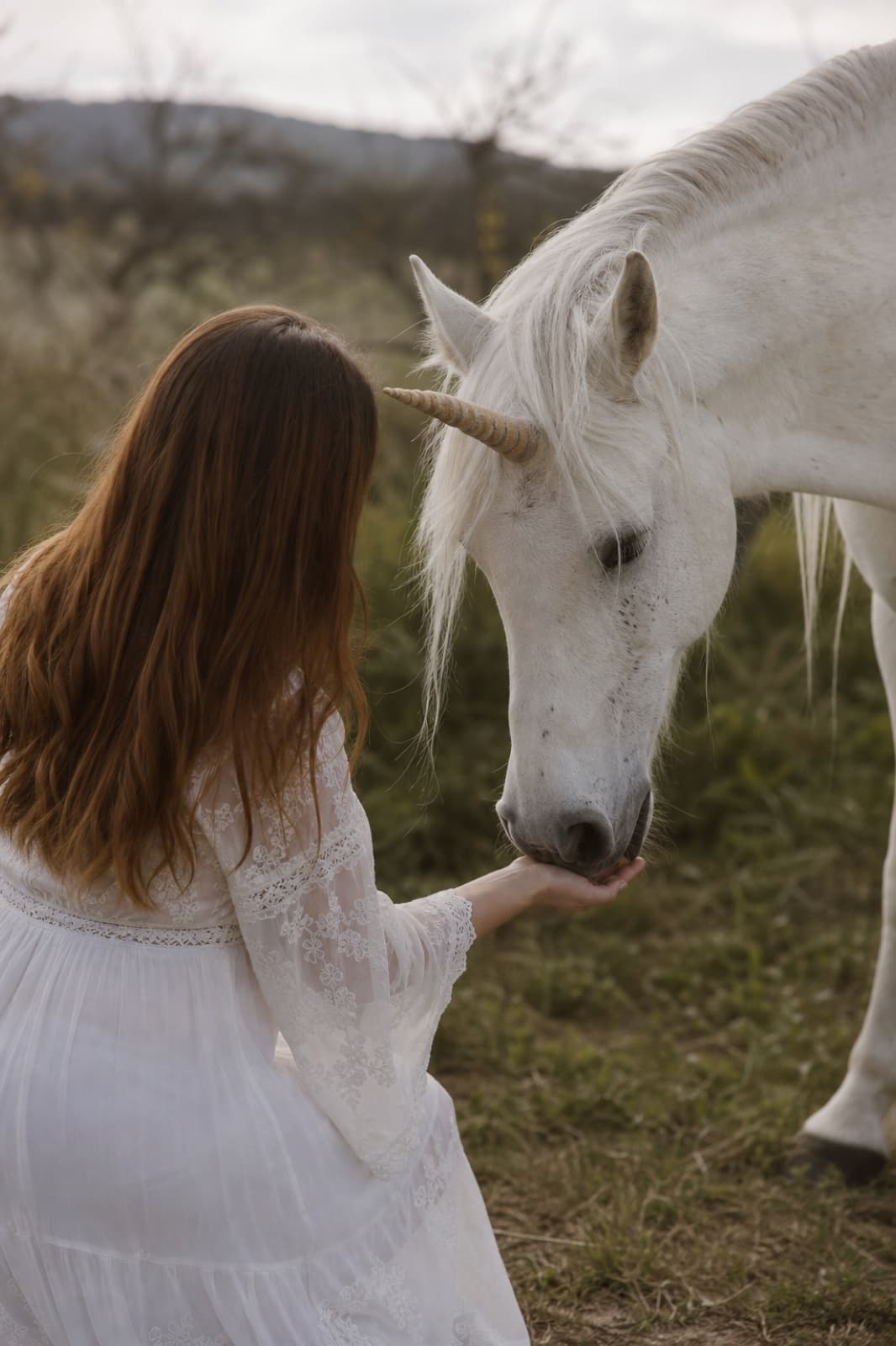 Woman with unicorn in a field, beginning of the quiz